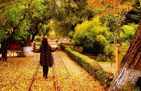 冰城儿童公园绝美诗意秋色