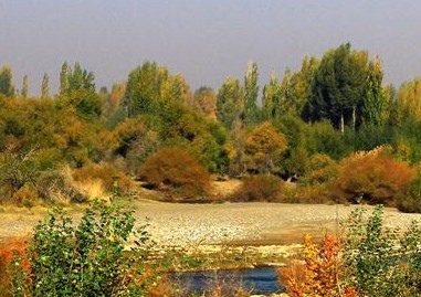 甘肃张掖黑河迷人秋色