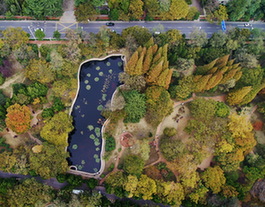 初冬的童话世界