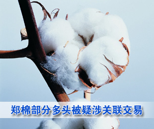 郑棉部分多头被疑涉关联交易