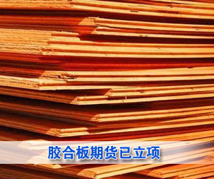 胶合板期货已立项
