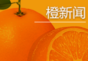 橙新闻