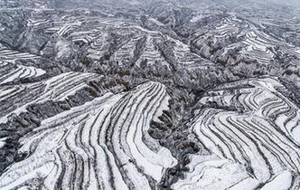 黃土高原降春雪 黑白分明如畫卷