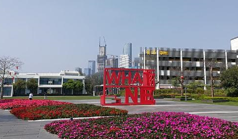 粤港澳大湾区扬帆起航：为&ldquo;一带一路&rdquo;建设提供有力支撑