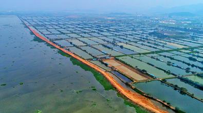 惠州：正在崛起的珠江东岸新增长极