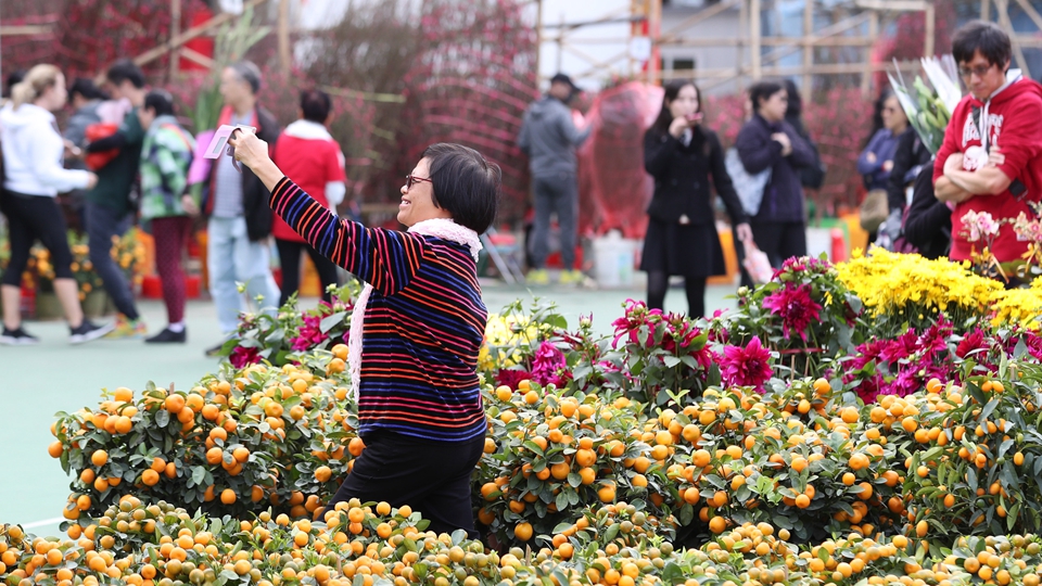 香港：选购花卉迎佳节