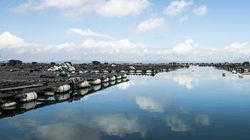 福建成港澳台青少年研学旅游热门目的地