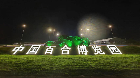 组图：夜探中国百合博览园