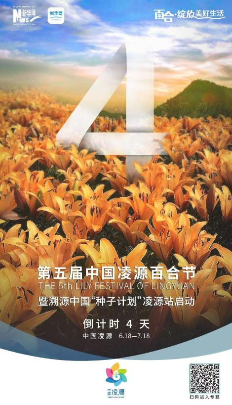 第五屆中國淩源百合節開幕倒計時4天