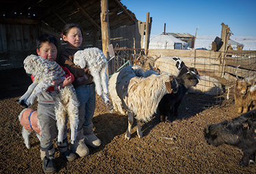 请善待700亿只农场动物