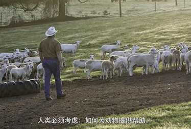 世界动物保护协会