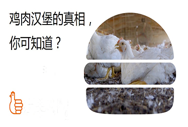 为什么我们需要&ldquo;鸡惠主义&rdquo;