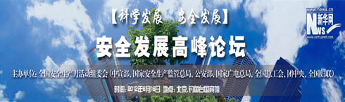安全发展高峰论坛