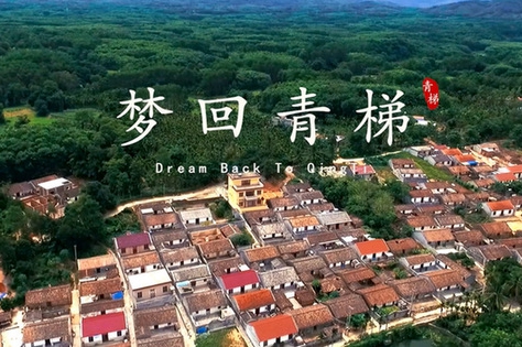 公益作品之影视作品《梦回青梯》