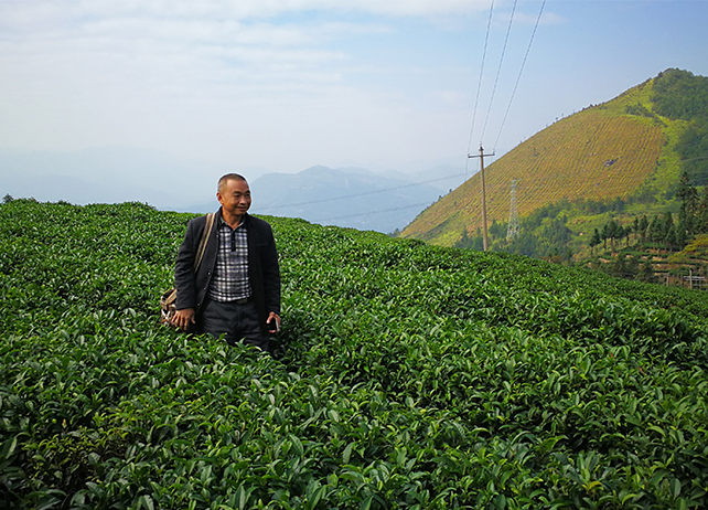农民系列人物故事