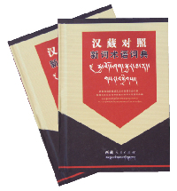 《汉藏对照新词术语词典》
