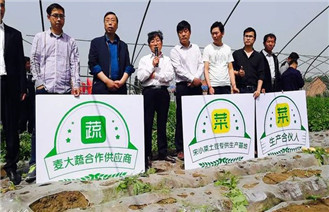 杭州小农网络科技有限公司：宋小菜农民合伙人