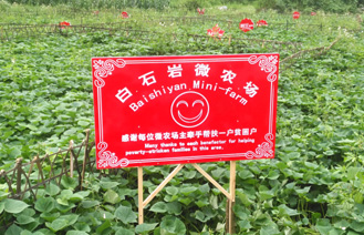 贵州司法厅：白石岩微农场精准扶贫项目