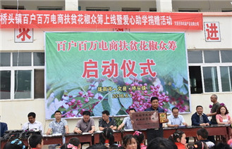 陇南市电子商务协会：电商扶贫项目