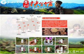 贵州电商云产业扶贫：黔货"泉涌"出山助力脱贫