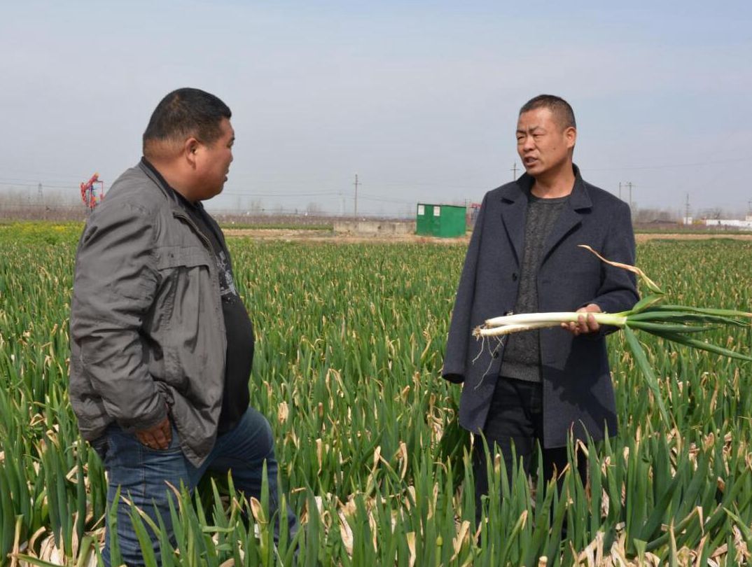 “独臂支书”李健