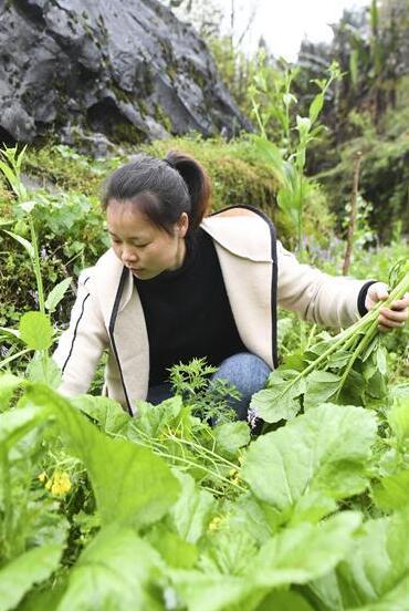 犟媳妇深山扎根记