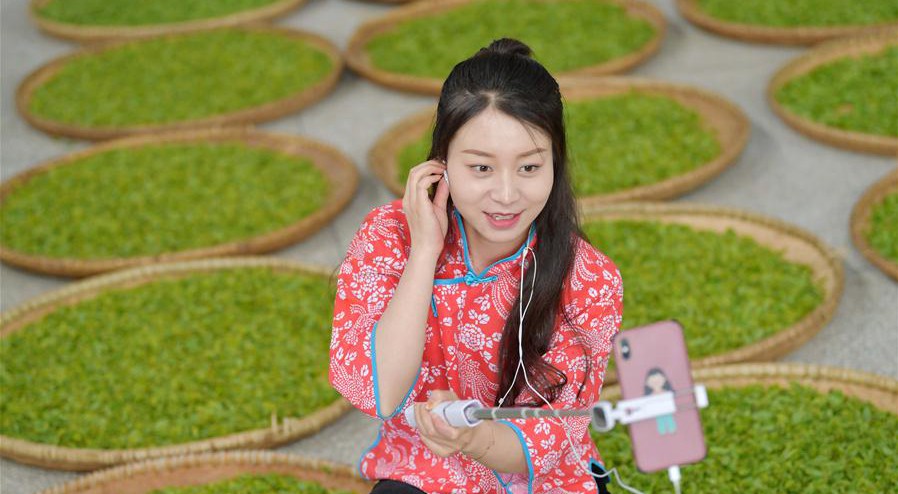 湖北鹤峰：网络直播“带茶出山”