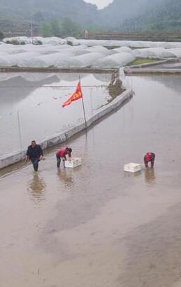 脱贫战场上的亲兄弟