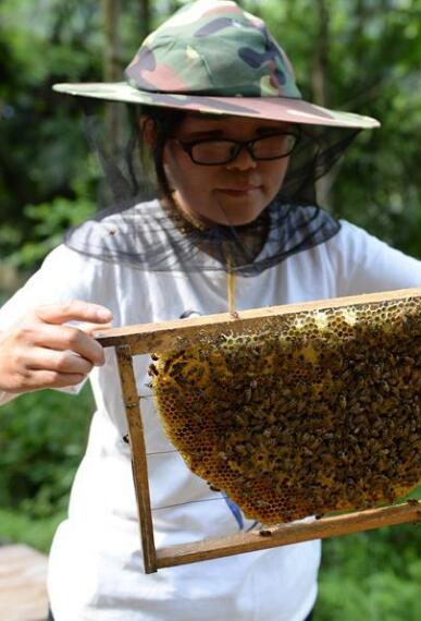 “蜂妹子”杨春竹：乡村发展需要年轻人