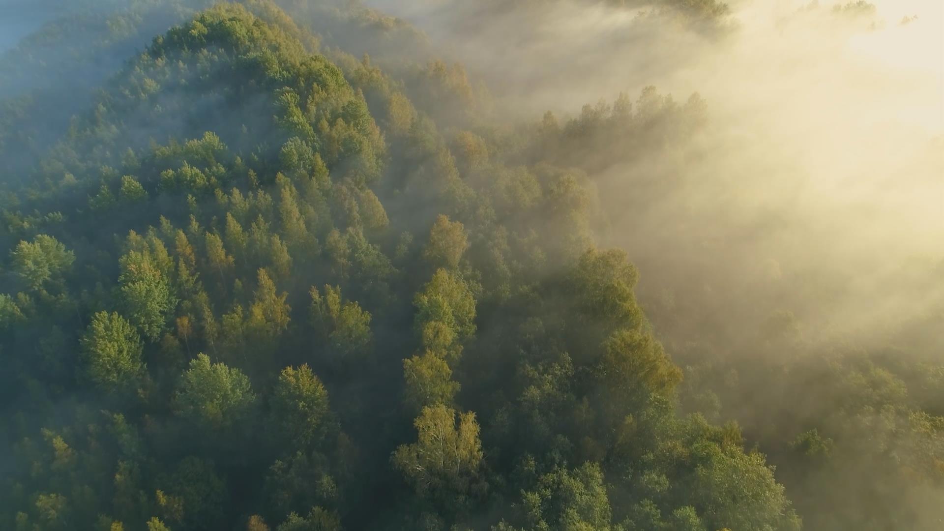 视频：美&ldquo;力&rdquo;环境，用&ldquo;新&rdquo;守护