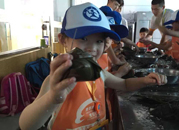 新华小记者体验包粽子