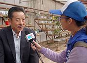 参观崆峒养生艺瓷盆景体验园