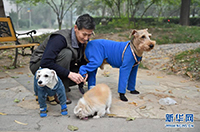 老人和他们的动物伴侣