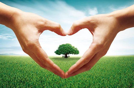 “网络公益广告联播”第二季线上展播