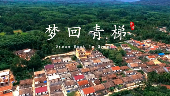 公益作品之影视作品《梦回青梯》《日子》