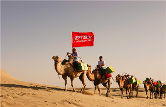 阿里巴巴：农村淘宝电商脱贫案例&mdash;&mdash;巴楚留香瓜