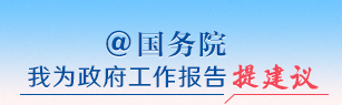 我为政府工作报告提建议