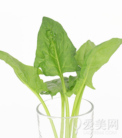  吃什么最新鲜？一月当季蔬菜别买错了 