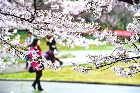 爱过敏的必看!教你打赢春季过敏阻击战