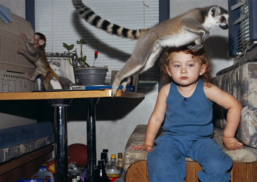 美摄影师母亲拍摄女儿与动物亲密照【图】