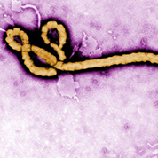 2014年度27件健康大事