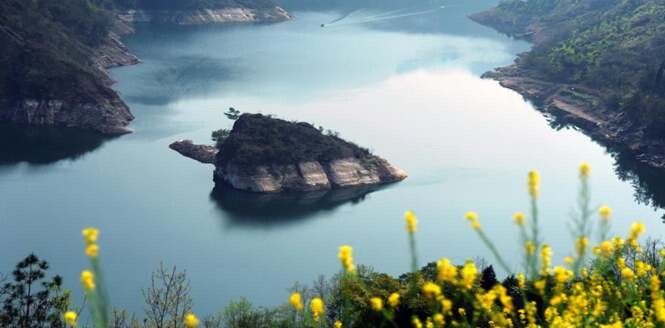 三峡水位消落 呈现&ldquo;春龟出水&rdquo;