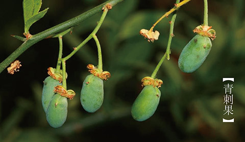 云南白药：创新现代科技让头皮&ldquo;喝中药&rdquo;