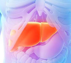 免疫疗法有望5年内取代化疗 针对性强、副作用低
