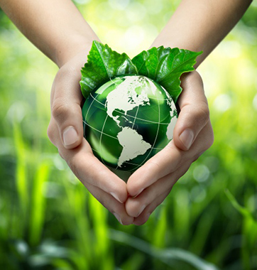 守护绿色家园 华立一直在行动