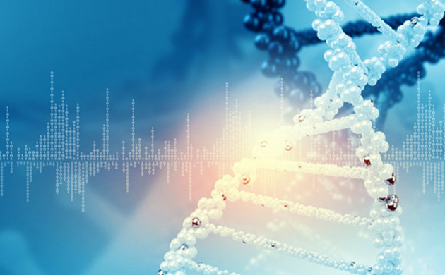 汪力成：构建互联网时代的&ldquo;华立大健康产业生态圈&rdquo;