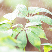 血塞通药业逐步向慢病领域扩展