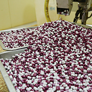 余斌：中医药传承创新需利用现代科技手段