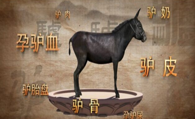 驴业未来就是东阿阿胶的未来