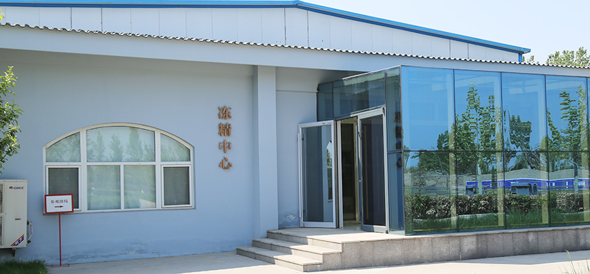 探访国际良种驴繁育中心：毛驴成了&ldquo;活药材&rdquo;